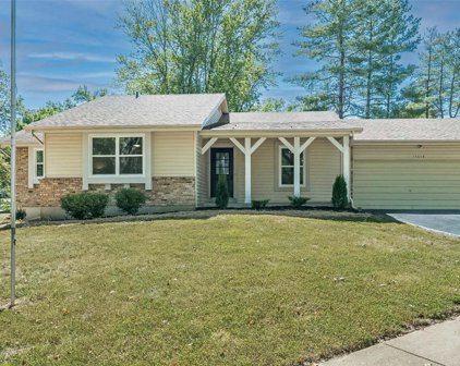 15648 Silverlake  Court, Chesterfield