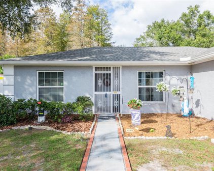 12410 Forest Lane Drive, Tampa