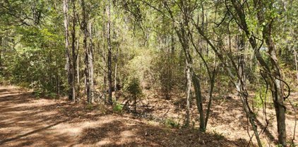 Lot 26 Honeylocust Lane, Plantersville