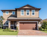 315 Irving Bend Drive, Groveland image