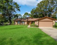 12923 Pineapple Place, Clermont image
