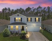 16366 Yelloweyed Dr, Clermont image