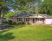 111 Robin Street, Summerville image