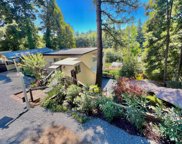 8141 Grape Avenue, Forestville image