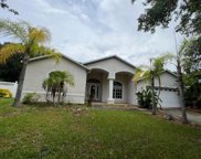 9204 Grand Palm Court, Riverview image