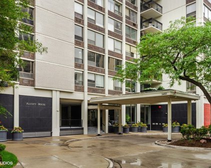 1460 N Sandburg Terrace Unit #1008A, Chicago