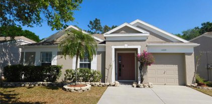 12320 Dawn Vista Drive, Riverview