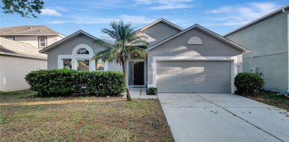 10306 River Bream Drive, Riverview