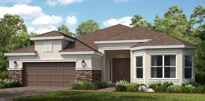 29426 Toricelli Road, Wesley Chapel