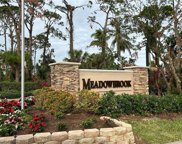 4158 Gumbo Limbo  Court, Estero image
