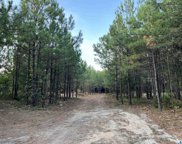 2210 Sweeney Hollow Road, Clay image