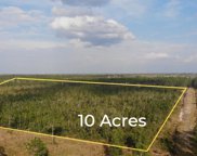 850 Wild Cur Road, Pierson image
