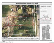 933 N WIXOM, Wixom image