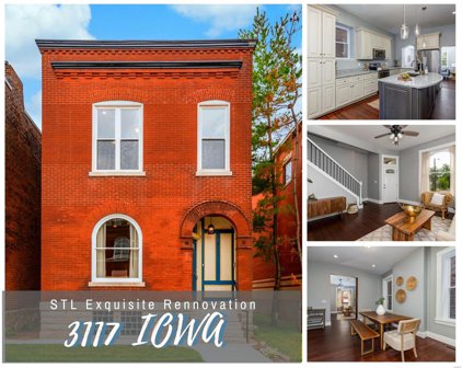 3117 Iowa  Avenue, St Louis