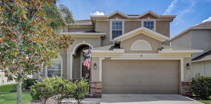2447 Dovesong Trace, Ruskin