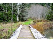 Ophir RD, Gold Beach image