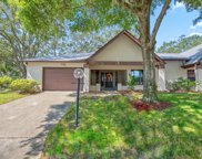 1406 Pheasant Creek Drive, Palm Harbor image