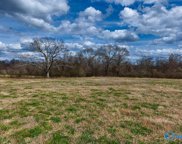 34 Acres County Road 656, Anderson image