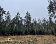 Lot3 Pyne Cove Road, Steuben image