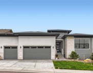 814 Alumroot Street, Castle Rock image