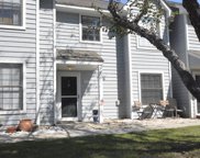 1681 Hunters Run Drive Unit #1681, Mount Pleasant image
