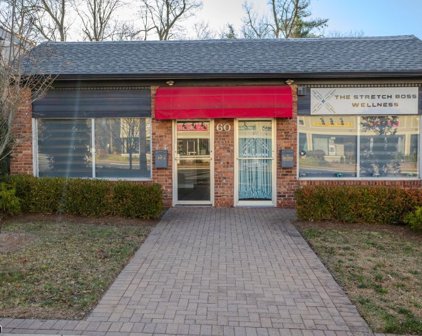60 E Mt Pleasant Ave, Livingston Twp.
