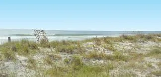 Briarcliffe Acres Myrtle Beach Homes for Sale
