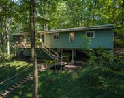 11918 Tower Hill Road, Sawyer image