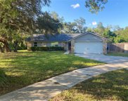 1111 Pine Oaks Court, Apopka image