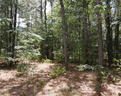 11354 County Road 351, Plantersville