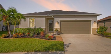 10452 Laguna Plains Drive, Riverview