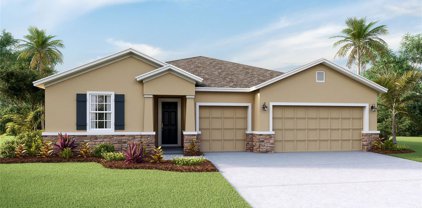 18011 Fattoria Terrace, Bradenton