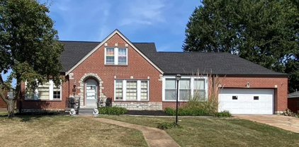 9855 Vasel  Drive, Affton