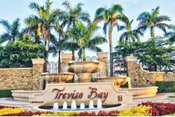 Search Treviso Bay homes and condos for sale in Naples Florida