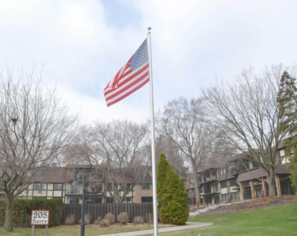 205 Barry Avenue S Unit #311, Wayzata