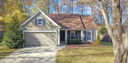 16115 Farmall  Drive, Huntersville