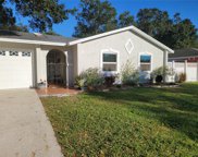 7109 Lawnview Court, Tampa image