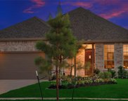 252 Spotted Saddle Court, The Woodlands image