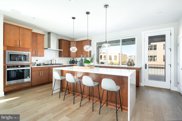 42383 Zenith   Terrace, Ashburn image