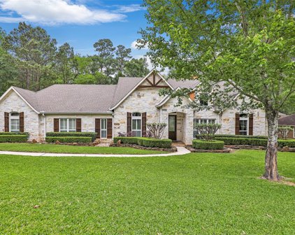 2002 Autumn Ridge Drive, Conroe
