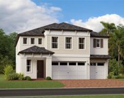 22302 Storybook Cabin Way, Land O' Lakes image