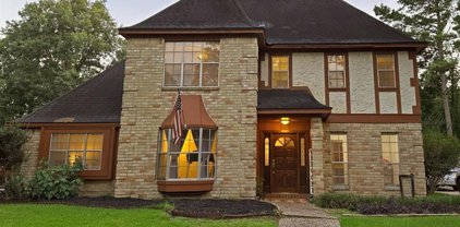 2062 Pine River Drive, Houston