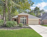 4606 Redwood Grove Court, Kingwood image