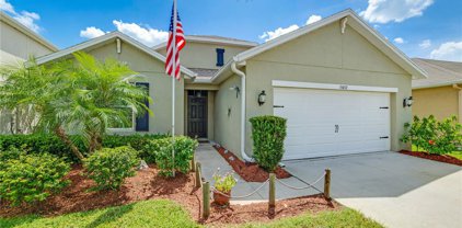15432 Trinity Fall Way, Bradenton