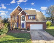 524 Whitehead  Court, Fort Mill image