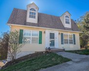 1429 Dick Lonas Rd, Knoxville image