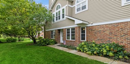 368 W Happfield Drive, Arlington Heights