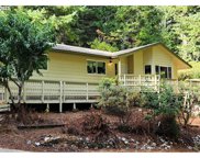 34446 CEDAR VALLEY RD, Gold Beach image
