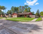 23223 Calico Corners Lane, Spring image