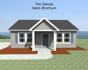 175 Anderson Avenue, Pacolet image